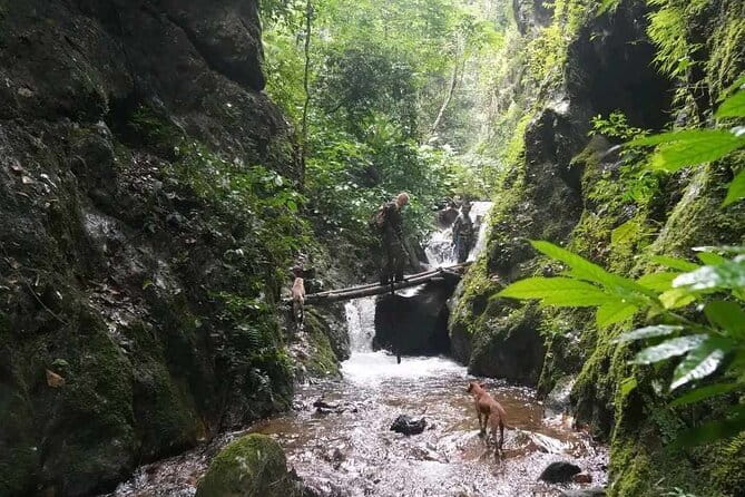 Full Day Doi Saket Hiking Tour - Why Doi Saket’s jungle hike feels different from big tours