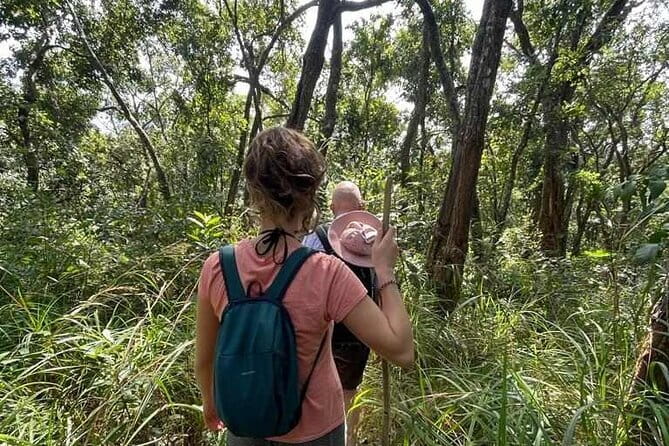 Full Day Doi Saket Hiking Tour - Troy and the guide style that makes it feel authentic