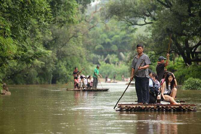Full Day Elephant Bathing and Bamboo Rafting Tour in Chiang Mai - Watching Shows and Feeding Time: What to Pay Attention to