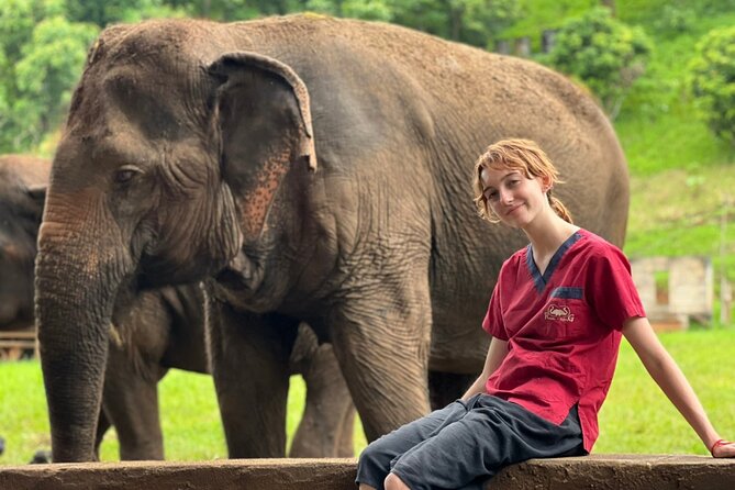 Full Day Experience at Ran-Tong Save & Rescue Elephant Centre - Meeting the elephants: observation that feels respectful