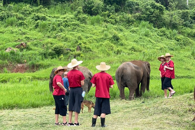 Full Day Experience at Ran-Tong Save & Rescue Elephant Centre - What to pack: clothes, wet shoes, and staying sane
