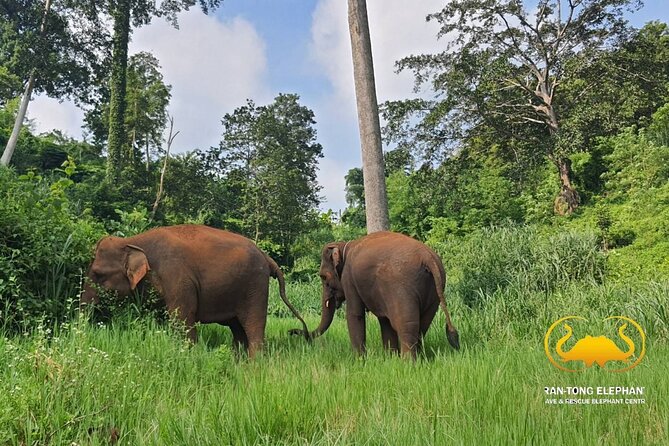 Full Day Experience at Ran-Tong Save & Rescue Elephant Centre - Changing into Mahout style Karen clothes, and what to expect