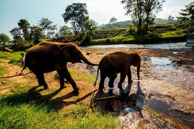 Full-Day Guided Tuk Tuk Chiang Mai Adventure and Rafting - Lunch That Keeps the Day Moving (With a Vegetarian Option)