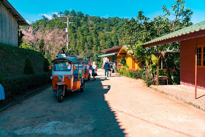 Full-Day Guided Tuk Tuk Chiang Mai Adventure and Rafting - What the Small-Group Size Changes