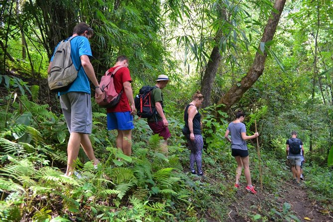 Full-Day Hike and Bike Tour from Chiang Mai - Key Highlights You Actually Feel