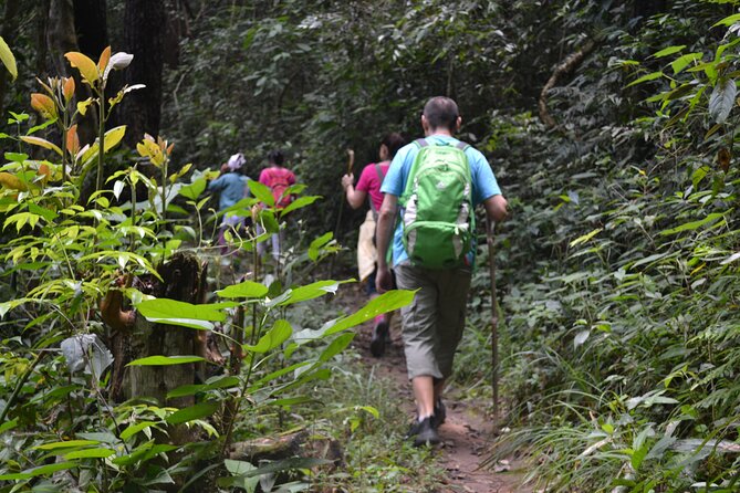 Full-Day Hike and Bike Tour from Chiang Mai - The Morning Hike: Rice Paddies, Hill Tribe Areas, and Forest Trails