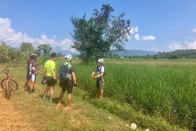Full-Day Hike and Bike Tour from Chiang Mai - Waterfall Thai Picnic Lunch: When the Heat Break Ends