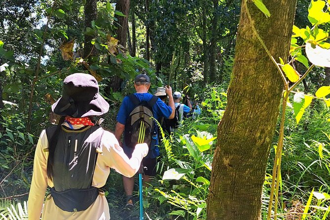 Full-Day Hike and Bike Tour from Chiang Mai - Afternoon Bike Ride: Paved and Dirt Roads to an Orchid Farm Finish