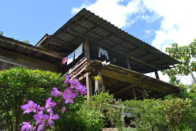 Full-Day Hike and Bike Tour from Chiang Mai - Price and Value: What $75 Covers in Real Terms