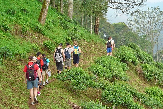 Full-Day Hike and Bike Tour from Chiang Mai - 8:30 AM Pickup, a Quick Temple Stop, and Getting Oriented