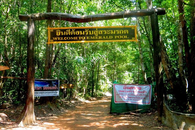 Full-Day Jungle Tour Including Tiger Cave Temple, Crystal Pool and Krabi Hot Springs - Stop 2: Emerald Pool (Sra Morakot) and the Crowd Reality