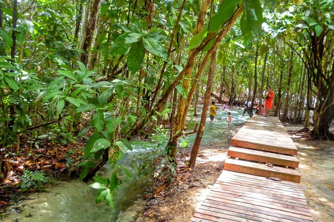 Full-Day Jungle Tour Including Tiger Cave Temple, Crystal Pool and Krabi Hot Springs - Stop 3: Thai Lunch, Water, and Small Comfort Wins