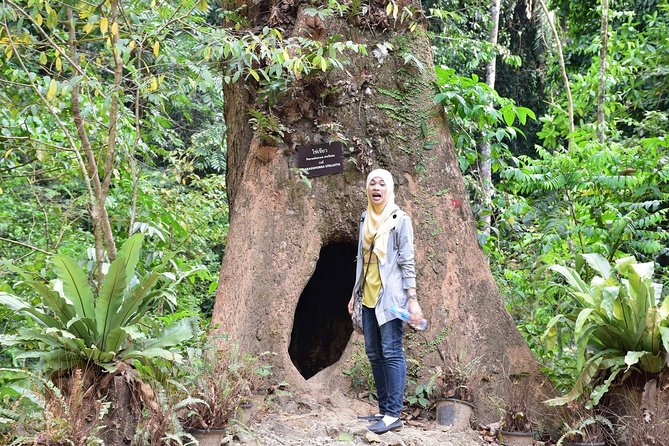Full-Day Jungle Tour Including Tiger Cave Temple, Crystal Pool and Krabi Hot Springs - The Viewpoint Stop: Quick Gratification on the Way Back