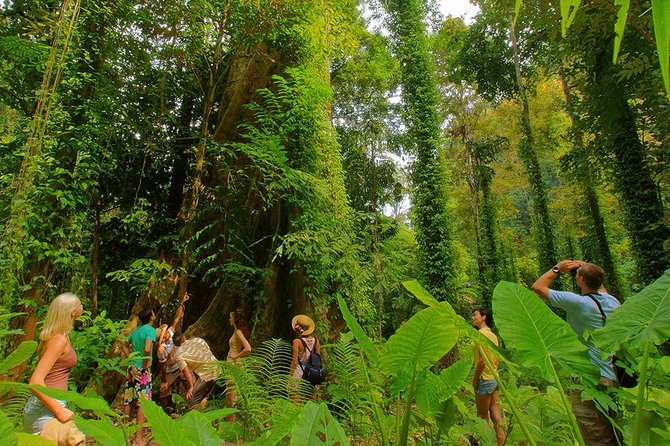 Full-Day Jungle Tour Including Tiger Cave Temple, Crystal Pool and Krabi Hot Springs - The Value Question: Is It Worth $44.37?