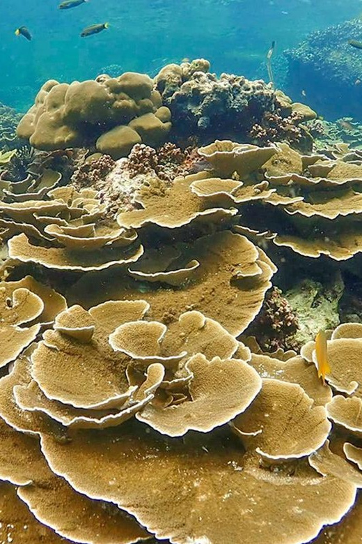 Full-Day Koh Lipe 5 points Snorkeling (East Zone) with Lunch - How the East Zone route actually runs in 6 hours