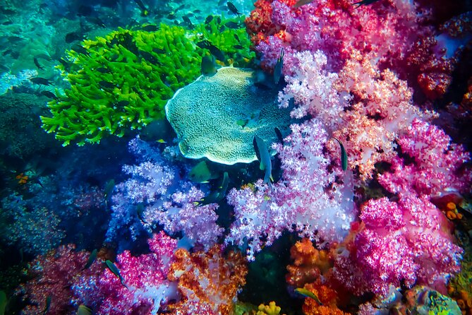 Full-Day Koh Lipe 7 Islands Snorkeling Experience with Lunch - Ao Kumnan and Koh Ro Kloy: another photogenic pause before more water time