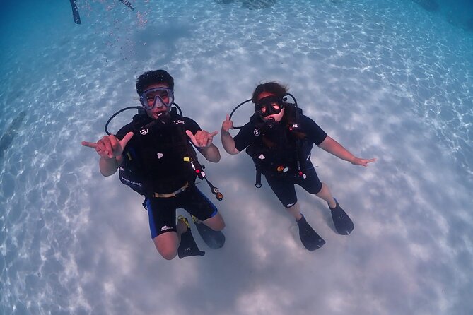 Full-Day Koh Phi Phi Scuba Diving Course from Phuket - Stop 2: Ko Bida Nok and the Marine Life You’re Hopeful For