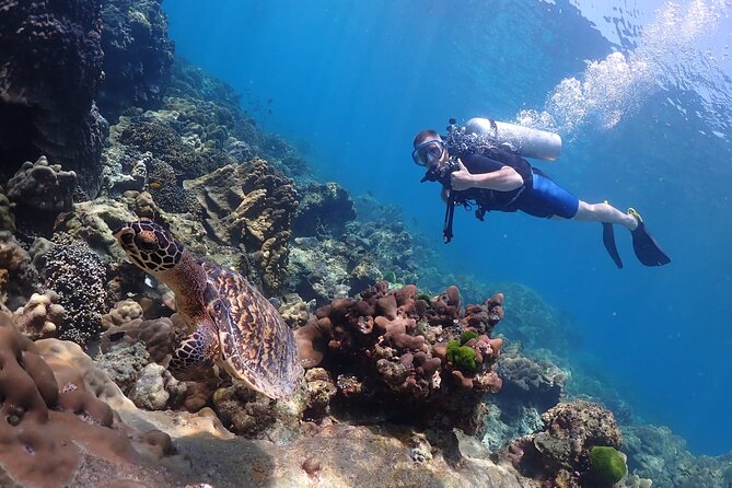 Full-Day Koh Phi Phi Scuba Diving Course from Phuket - Boat Day Reality: Crowded Feels Possible, Even With a Small Group