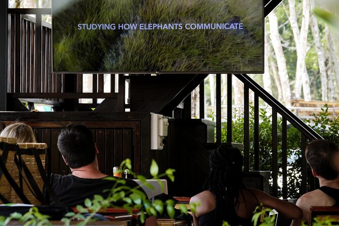 Full-Day Phuket Elephant Sanctuary Tour with Lunch and Dinner - Entering the Sanctuary: Video Intro and the 30-Acre Roam