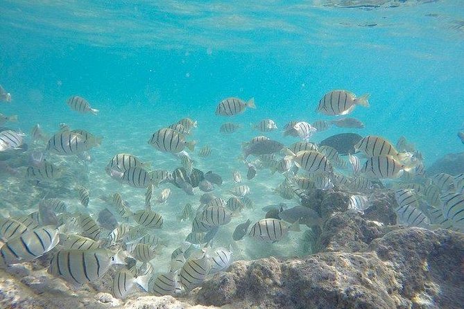 Full-Day Racha Noi and Racha Yai Snorkeling from Phuket - Lunch on board and timing for your second Koh Racha Noi swim