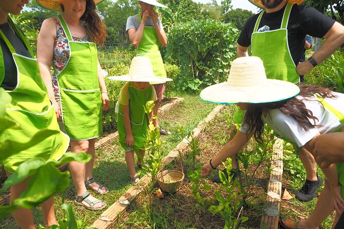 Full Day Thai Cooking at Farm (Chiang Mai) - Morning Plans: 8:00 am Start, Hotel Pickup, and That Market Stop