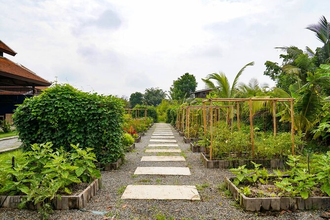 Full-Day Thai Cooking Class with Grandma - Market and Farm Tour - Organic Farm Time: Rice Fields, Gardens, and the Chicken Coop
