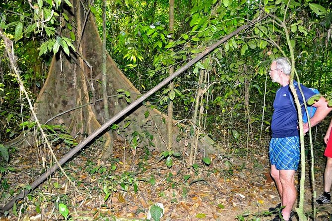 Full-Day Tour to Cheow Lan Lake in Khao Sok National Park from Krabi - Jungle hike in Khao Sok National Park, plus the cave visit