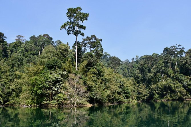 Full-Day Tour to Cheow Lan Lake in Khao Sok National Park from Krabi - Long-tail boat cruise on Cheow Lan Lake