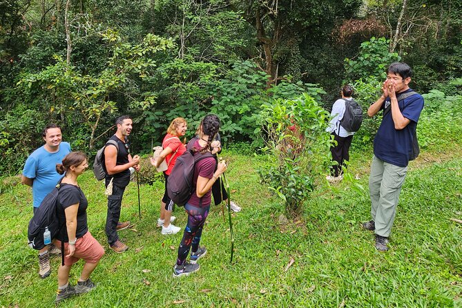 Full-Day Trekking and Sightseeing Tour in Mae Kampong - What to pack and how to pace yourself