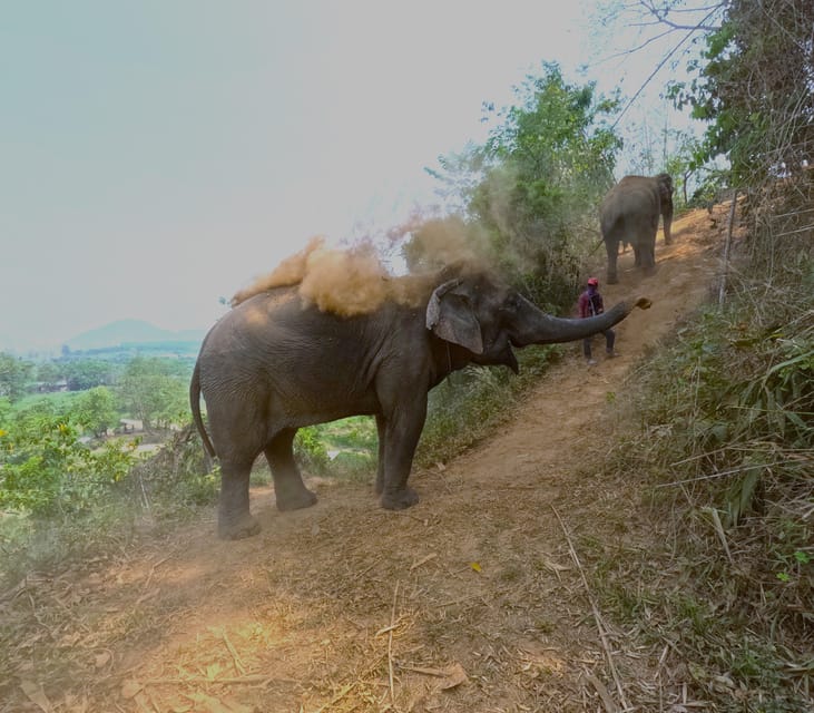 Full-day with CHIANGMAI ELEPHANT CARE and Sticky waterfall - How the day moves, from hotel pickup to sticky waterfall return