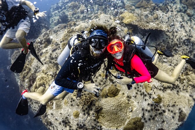 Fun Diving Packages (Certified Divers) - Quick hits before you go
