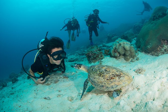 Fun Diving Safari Day Trip From Koh Lanta - Certified Divers - Bida Islands near Koh Phi Phi in the low season