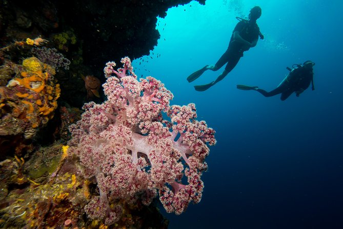 Fun Diving Safari Day Trip From Koh Lanta - Certified Divers - Food, drinks, and staying comfortable on an 8-hour sea day