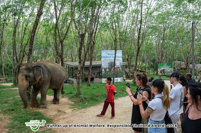Guide Tour to Khaolak Elephant Sanctuary in Small Group - Key Things to Know Before You Go