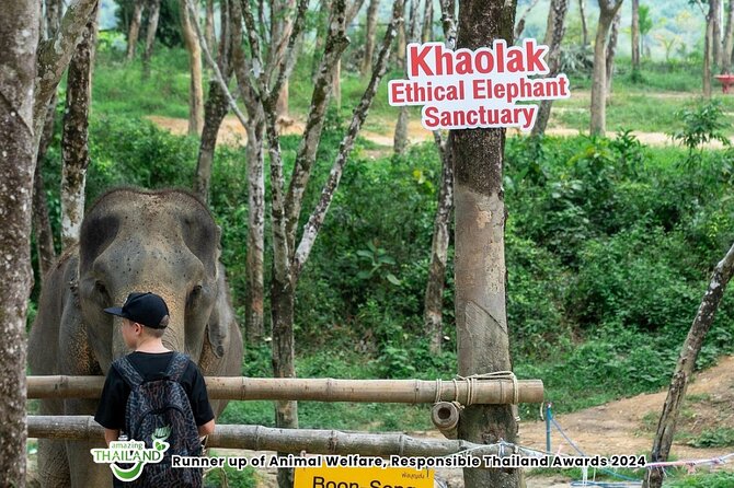 Guide Tour to Khaolak Elephant Sanctuary in Small Group - The 1-Hour Jungle Walk With Elephants: Following, Not Herding