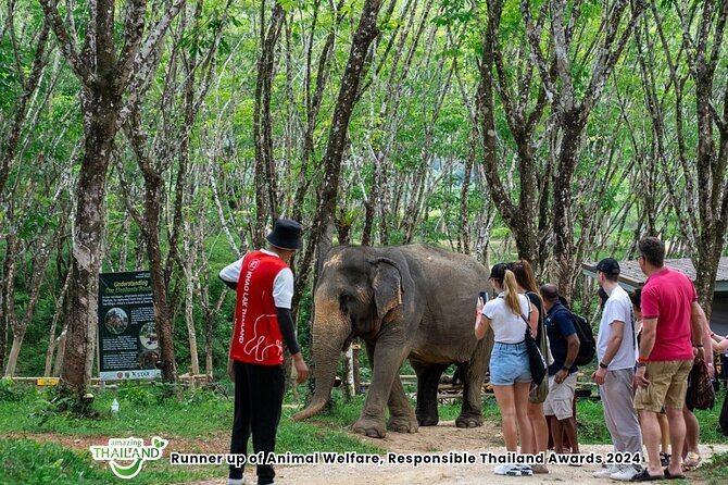 Guide Tour to Khaolak Elephant Sanctuary in Small Group - Guides Make or Break It: Tony, Mae, and Spiderman in Real-Life Context