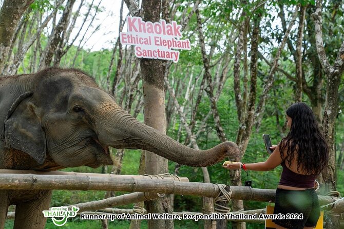 Guide Tour to Khaolak Elephant Sanctuary in Small Group - Logistics That Matter: Pickup Timing, Group Size, and What to Pack