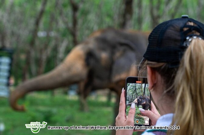 Guide Tour to Khaolak Elephant Sanctuary in Small Group - Who Should Book This Tour, and Who Might Want a Different Style