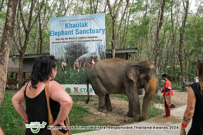 Guide Tour to Khaolak Elephant Sanctuary in Small Group - Feeding the Elephants Without a Ride: What You Can Expect Up Close