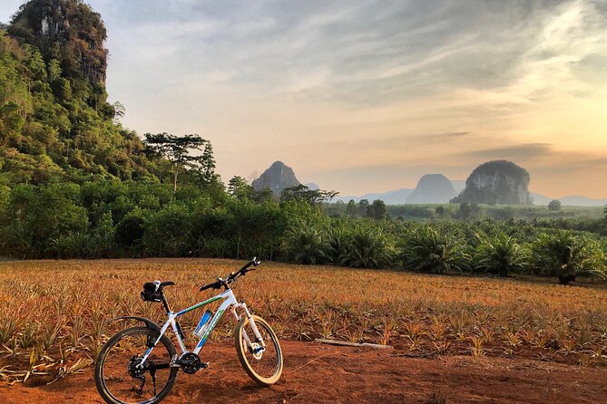 Guided Mountain Biking - Grand Tour - Trails of Ao Nang - From Plantations to Dirt Trails: What You Will Ride Through