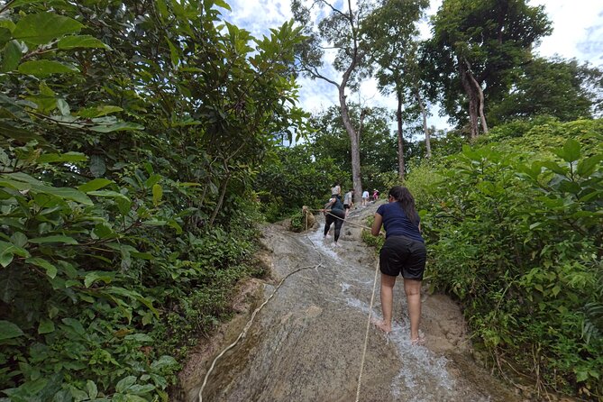 Half Day Chiangmai Bua Tong Sticky Waterfall Tour - Key points to know before you go