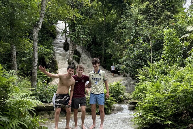 Half Day Chiangmai Bua Tong Sticky Waterfall Tour - Sticky waterfall 101, what makes Bua Tong different