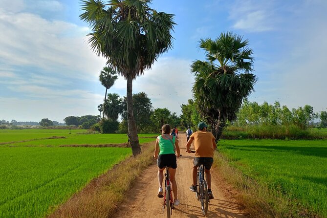 Half Day Countryside Cycling in Sukhothai - Price and Value: What $32.27 Really Buys You