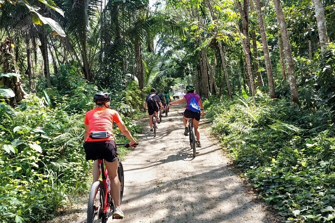 Half-Day Countryside Cycling Small-group Tour in Phuket - The north Phuket farming loop: jungle, plantations, and a real break from beach days