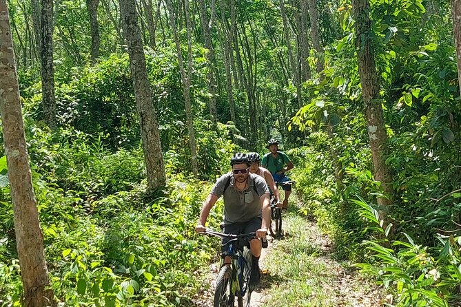 Half-Day Countryside Cycling Small-group Tour in Phuket - Price and value: what $74.97 really buys you