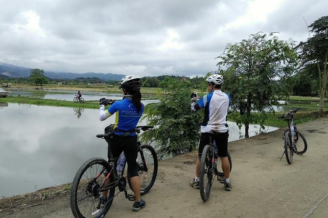 Half Day Cycling Tour to the White temple - Your bike setup: 24 gears, helmet, and a ride that fits you