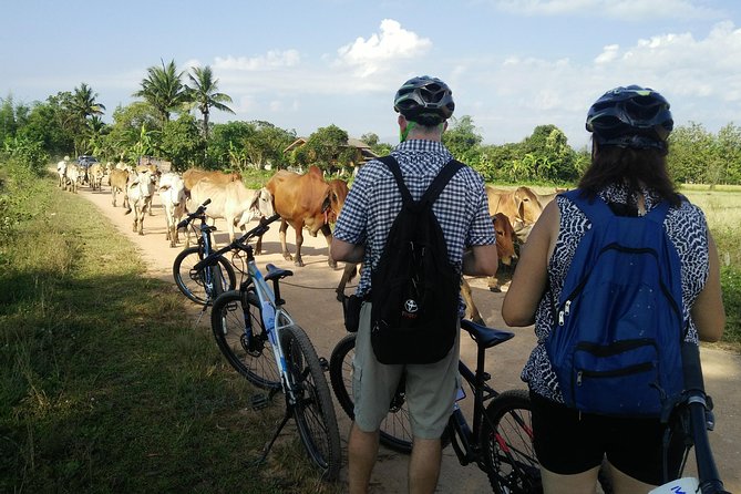 Half Day Cycling Tour to the White temple - The White Temple at Wat Rong Khun: how the guide changes the visit