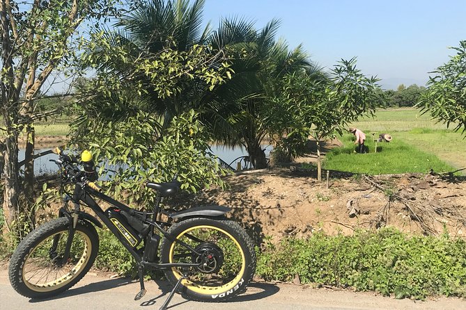 Half-day E-bike Countryside and rice paddies (flat land, GUIDED) - The Ping River section: easy cycling, real countryside, real pacing