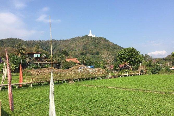 Half-day E-bike Nam Phrae (hilly, fully paved roads, GUIDED) - Why this half-day e-bike route feels like Chiang Mai, not a checklist