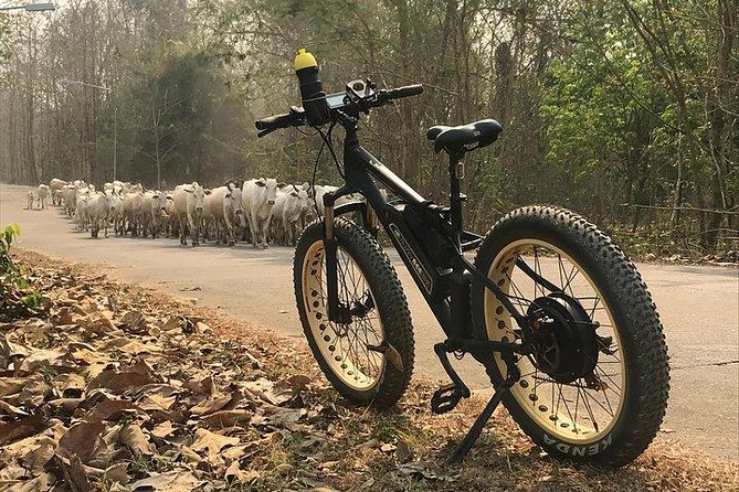 Half-day E-bike Nam Phrae (hilly, fully paved roads, GUIDED) - Stop 1: Wat Ton Kwen (Wat Intharawat) and the Lanna temple atmosphere